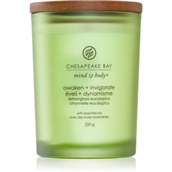 Chesapeake Bay Candle Mind & Body Awaken & Invigorate lumânare parfumată