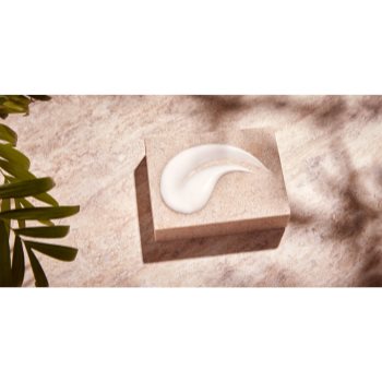 Christophe Robin Hydrating Melting Mask with Aloe Vera masca hidratanta pentru par uscat - 1 | YEO