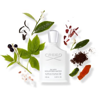 Creed Silver Mountain Water Eau de Parfum unisex - 1 | YEO
