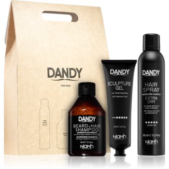 DANDY Styling gift set set cadou pentru bărbați DANDY