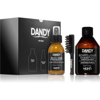 DANDY Beard gift box set cadou (pentru barbă)