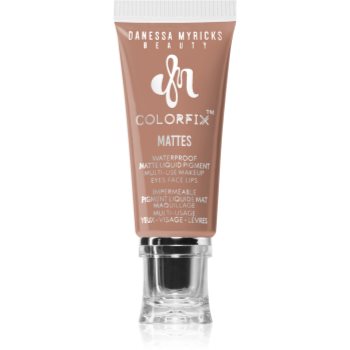 Danessa Myricks Beauty Colorfix Mattes machiaj multifuncțional pentru ochi, buze și față