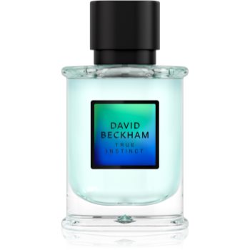 David Beckham True Instinct Eau de Parfum pentru bărbați