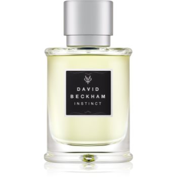 David Beckham Instinct Eau de Toilette pentru bărbați Online Ieftin bărbați
