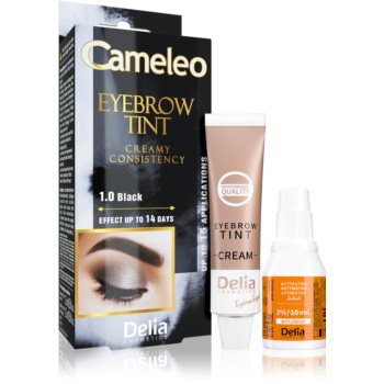 Delia Cosmetics Cameleo Vopsea crema profesionala pentru sprancene fără amoniac