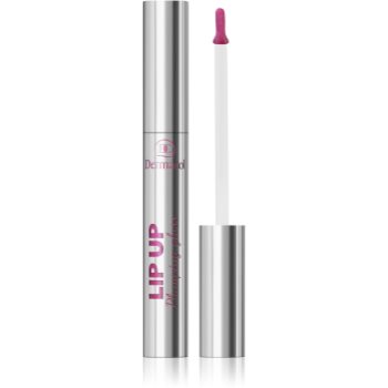 Dermacol Lip Up luciu de buze pentru un volum suplimentar
