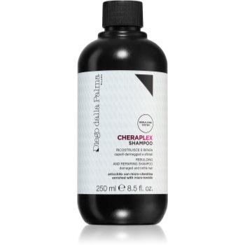 Diego dalla palma rebuilding and repairing shampoo sampon revitalizant