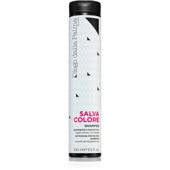 Diego dalla Palma Anti-Fading Protective Shampoo sampon pentru protectia culorii