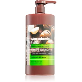 Dr. Santé Macadamia șampon pentru par deteriorat