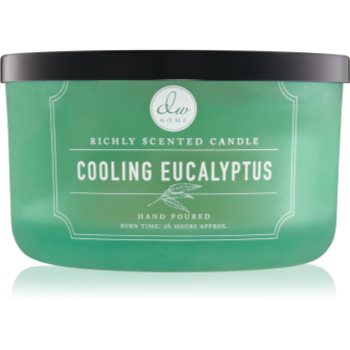 DW Home Cooling Eucalyptus lumânare parfumată DW Home imagine noua 2022