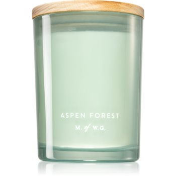 Makers of Wax Goods Aspen Forest lumânare parfumată (Aspen) imagine noua