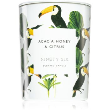 DW Home Ninety Six Acacia Honey & Citrus lumânare parfumată Acacia imagine noua