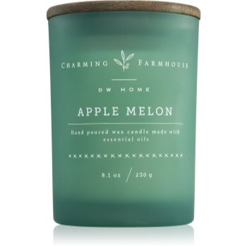 DW Home Charming Farmhouse Apple Melon lumânare parfumată