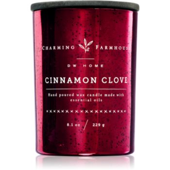 DW Home Charming Farmhouse Cinnamon Clove lumânare parfumată