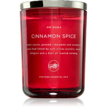 DW Home Dala Cinnamon Spice lumânare parfumată