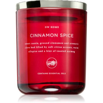 DW Home Dala Cinnamon Spice lumânare parfumată