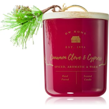 DW Home Farmhouse Cinnamon Clove & Cypress lumânare parfumată
