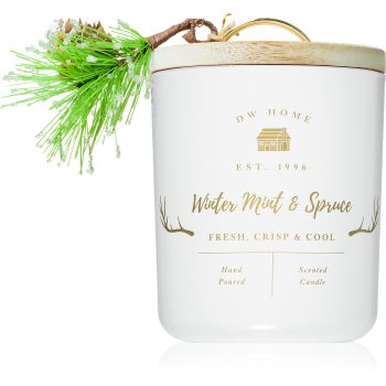 DW Home Farmhouse Winter Mint & Spruce lumânare parfumată