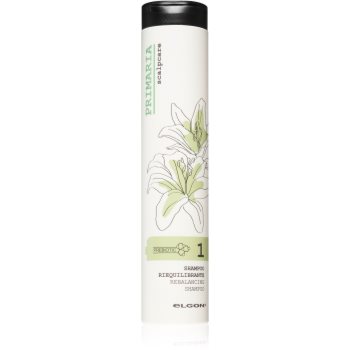 Elgon primaria șampon pentru scalp gras