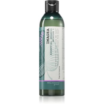 Elgon Green Imagea Essential Shampoo șampon