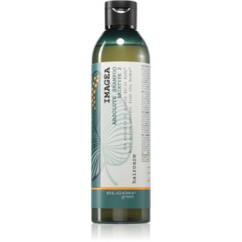 Elgon Green Imagea Absolute Shampoo sampon pentru stralucirea si tonifierea parului vopsit