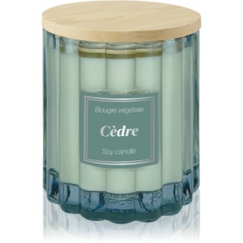 Esprit Provence Cèdre lumânare parfumată cu capac (ESVSTNR_EIEX39)
