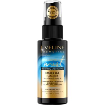 Eveline cosmetics long-lasting mist spray revigorant facial