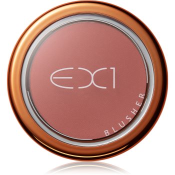 EX1 Cosmetics Blusher blush