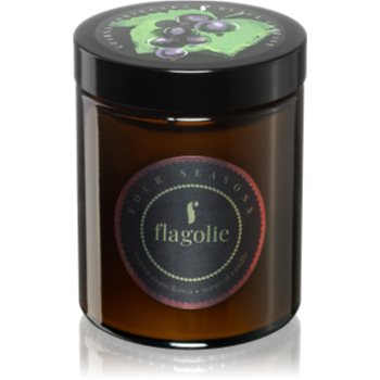 Flagolie four seasons black currant lumânare parfumată