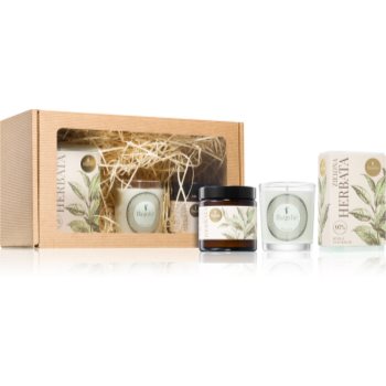 Flagolie Ritual For The Body Green Tea set cadou