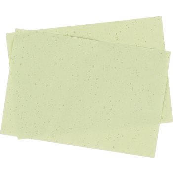 Gabriella Salvete SoulMatte Green Tea foițe cu efect matifiant cu ceai verde