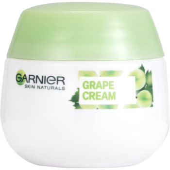 Imagine produs: Garnier Botanical cremă hidratantă pentru piele normală și mixtă