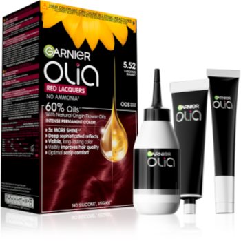 Garnier Olia Big Kit Culoare permanenta pentru par (GARCIEC_QAUZ02)