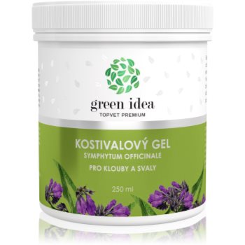 Green Idea Kostivalový gel gel pentru masaj muschii si articulatiile