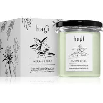 Hagi Herbal Sense lumânare parfumată