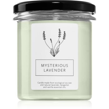 Hagi Mysterious Lavender lumânare parfumată - 1 | YEO