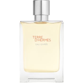 HERMÈS Terre d’Hermès Eau Givrée Eau de Parfum reincarcabil pentru bărbați