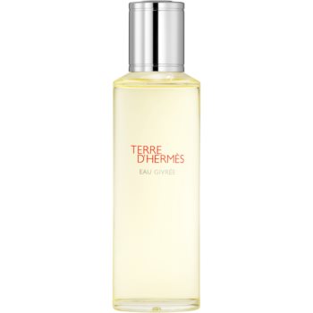 HERMÈS Terre d’Hermès Eau Givrée Eau de Parfum rezervă pentru bărbați bărbați