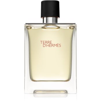 Hermès Terre d’Hermès Eau de Toilette pentru bărbați imagine 2021 notino.ro