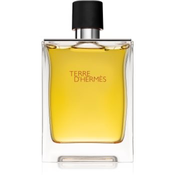 Hermès Terre d’Hermès parfum pentru bărbați imagine 2021 notino.ro