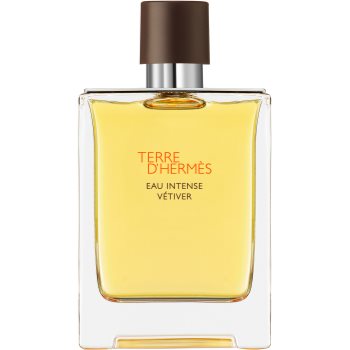 HermÈs Terre D’hermès Eau Intense Vétiver Eau De Parfum Pentru Barbati