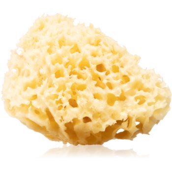 Huygens Clear Natural Mediterranean Sea Sponge burete natural corp si fata image