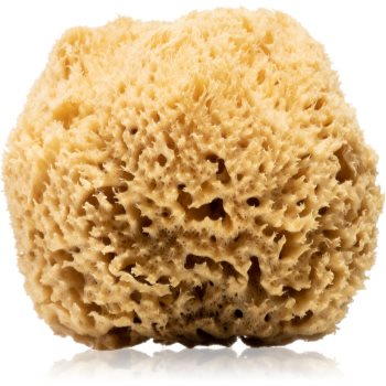 Huygens Natural Mediterranean Sea Sponge burete natural corp si fata