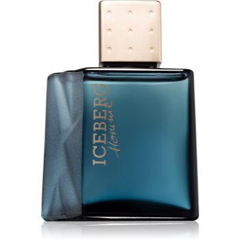 Iceberg Homme eau de toilette pentru barbati 100 ml