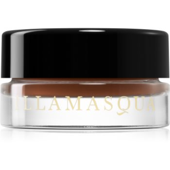 Illamasqua Precision Brow Gel gel pentru sprancene Illamasqua Cosmetice și accesorii