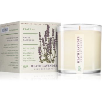 KOBO Plant The Box Heath Lavender lumânare parfumată