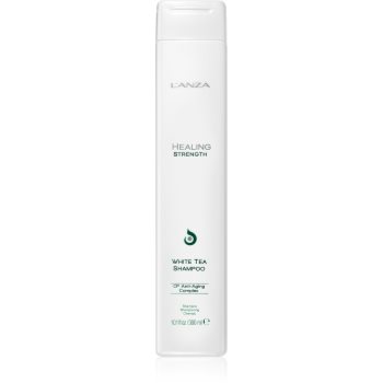 L\'anza Healing Strength White Tea Shampoo șampon pentru parul deteriorat si fragil
