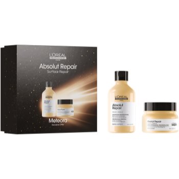 L’Oréal Professionnel Serie Expert Absolut Repair set cadou pentru păr uscat și deteriorat