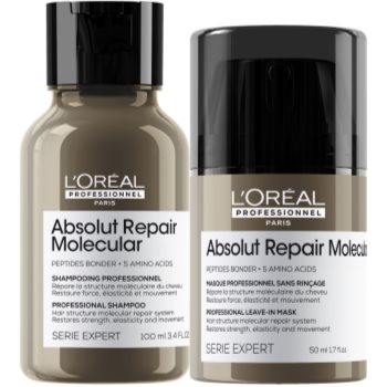 L’Oréal Professionnel Serie Expert Absolut Repair Molecular set cadou L’Oréal Professionnel Serie Expert Absolut Repair Molecular set cadou 2 - Sellmag.ro