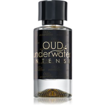 Luxury Concept Oud Underwater Intense Eau de Parfum unisex Concept imagine noua